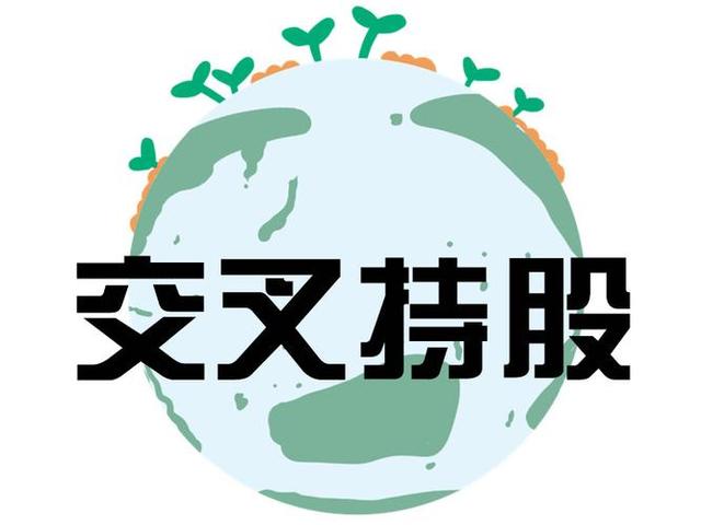 交叉持股安排设计(交叉持股怎么计算持股比例)扬州市