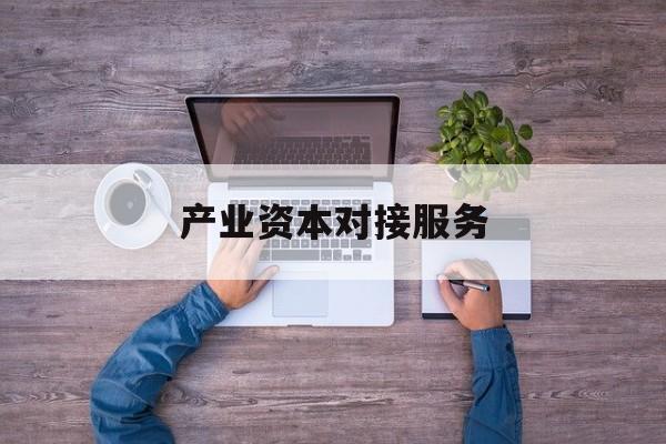 产业资本对接服务(产业资本对接服务包括哪些)扬州市